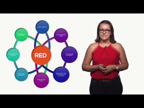 Redes de Apoyo Comunitario: Fortaleciendo la Solidaridad