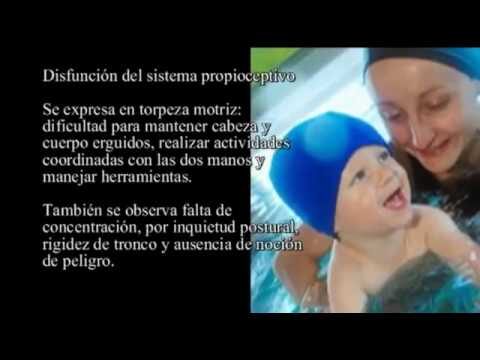 Actividades acu&aacute;ticas para estimular los sentidos