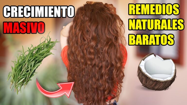 5 Productos Naturales para el Cuidado del Pelo