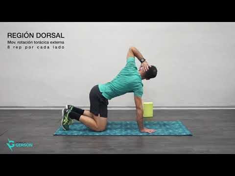 10 Ejercicios de Movilidad Articular para Deportistas