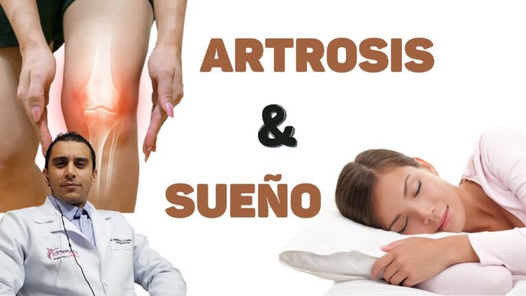 Mejora tu sueño y alivia dolores musculares con la almohada perfecta