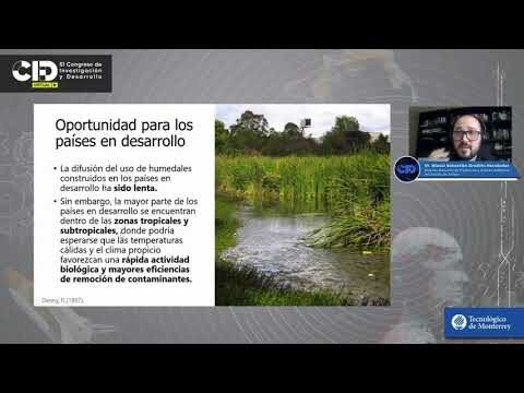 Mejora tu bienestar emocional con tratamientos de agua